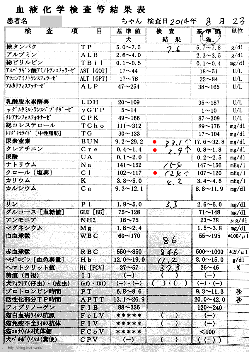 クロの血液検査結果2014/8/23