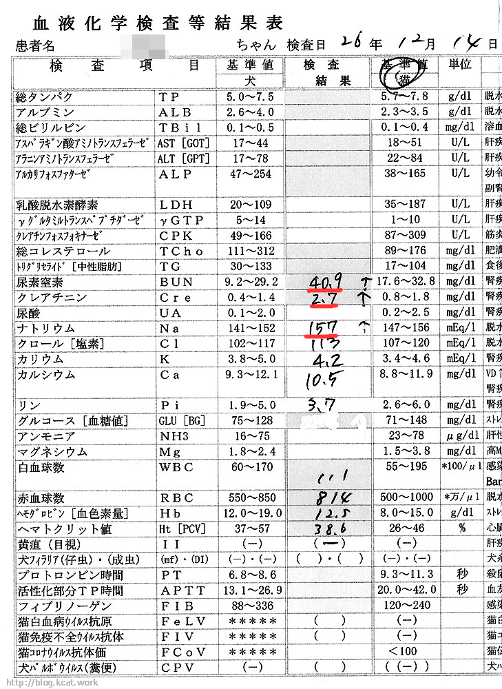 2014/12/14ク ロ血液検査結果