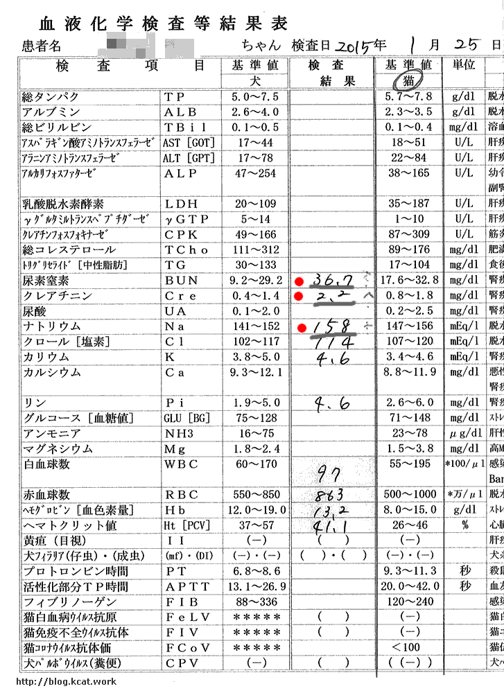 クロの血液検査結果2015/1/25