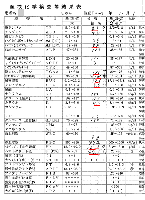 シロの検査結果 2015/11/1