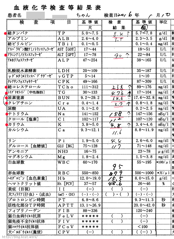 2016/1/10シロ血液検査結果