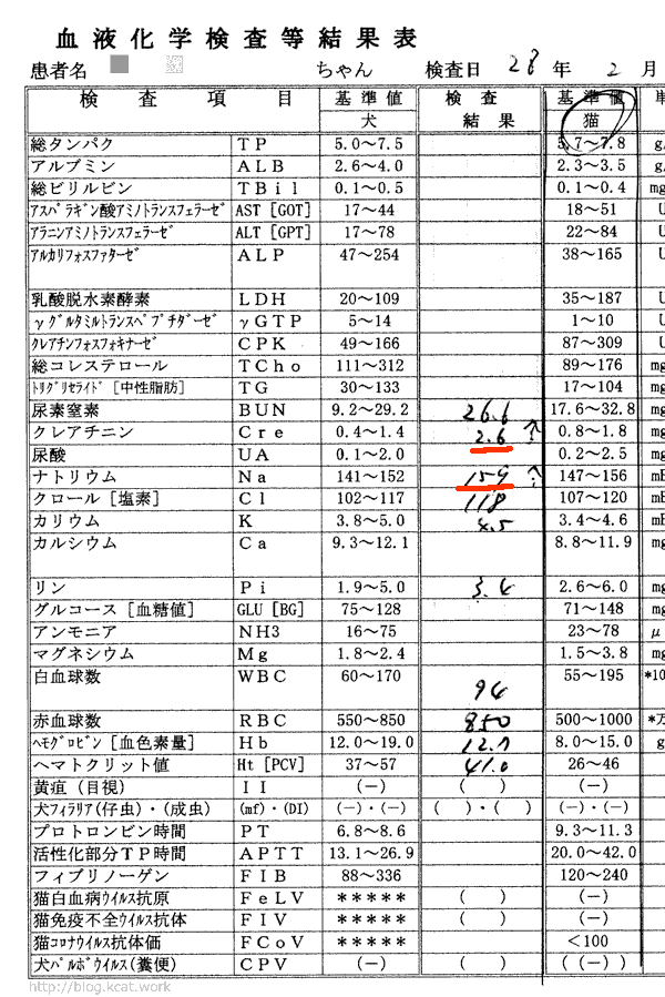 2016/2/21クロ血液検査結果
