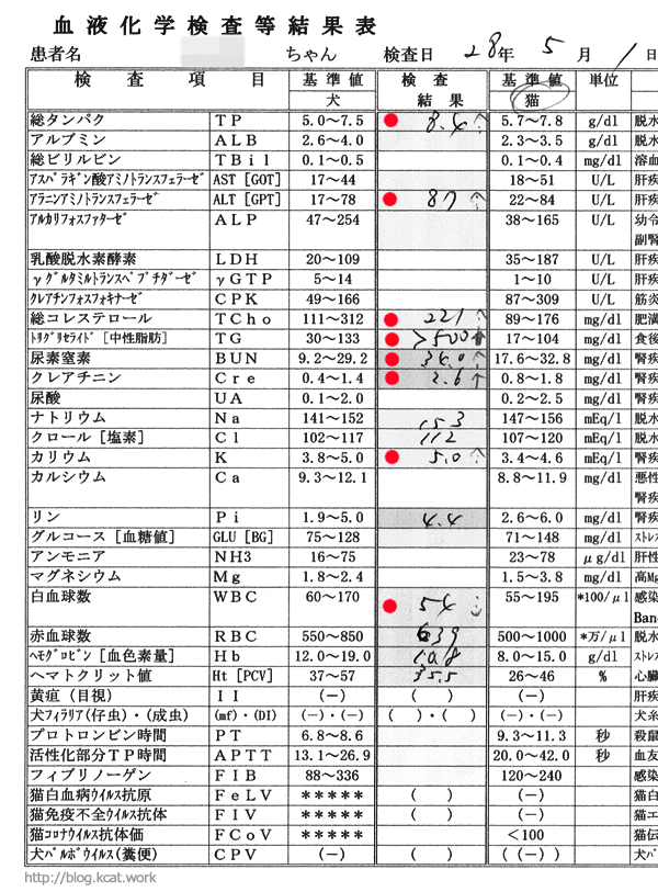2016/5/1のシロの検査結果