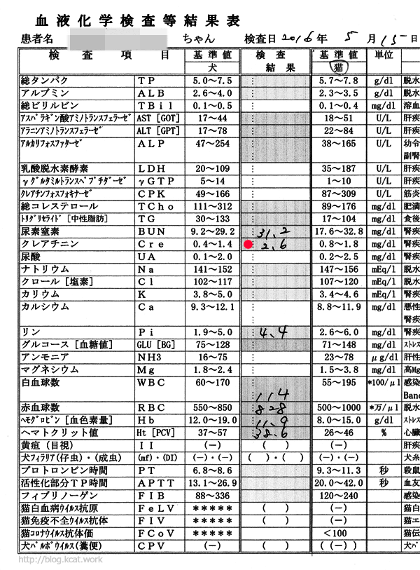 2016/5/15クロ血液検査結果