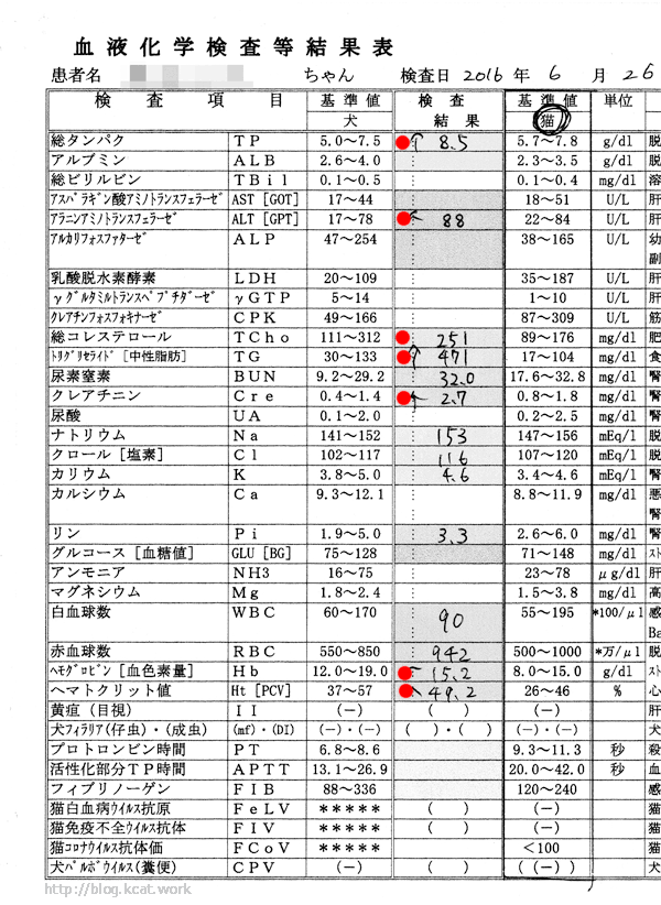 2016/6/26のシロの検査結果