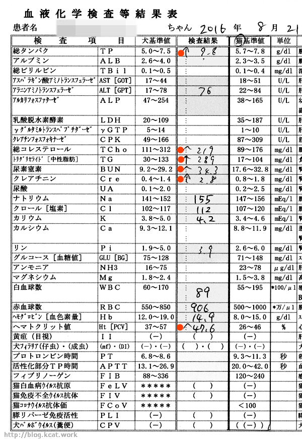 2016/8/21のシロの検査結果