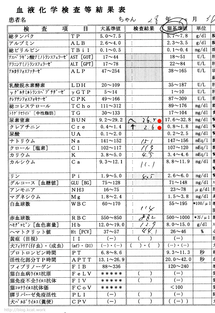クロの血液検査結果 2016/10/30