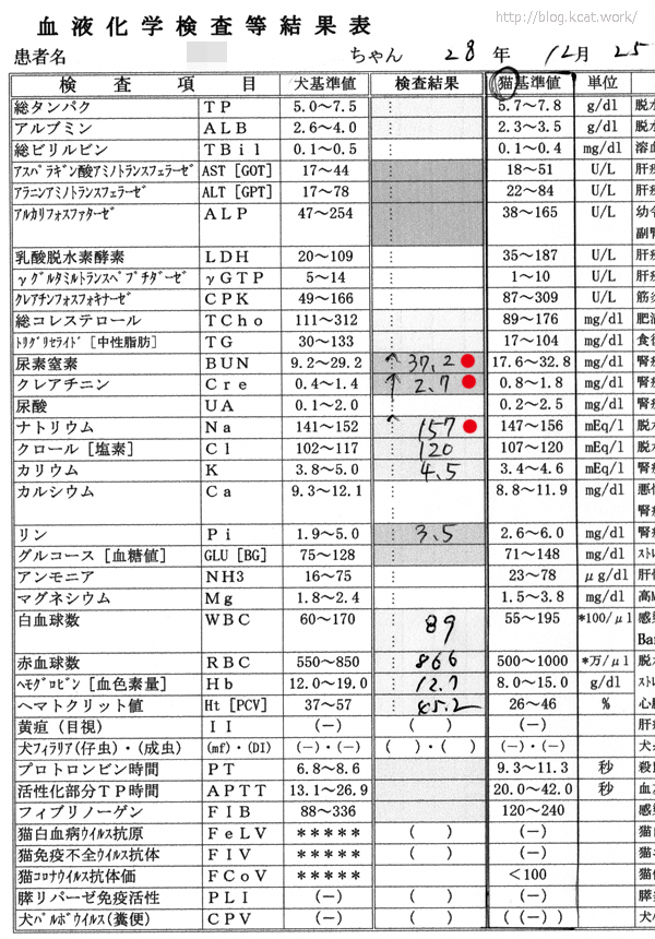 クロの血液検査結果 2016/12/25