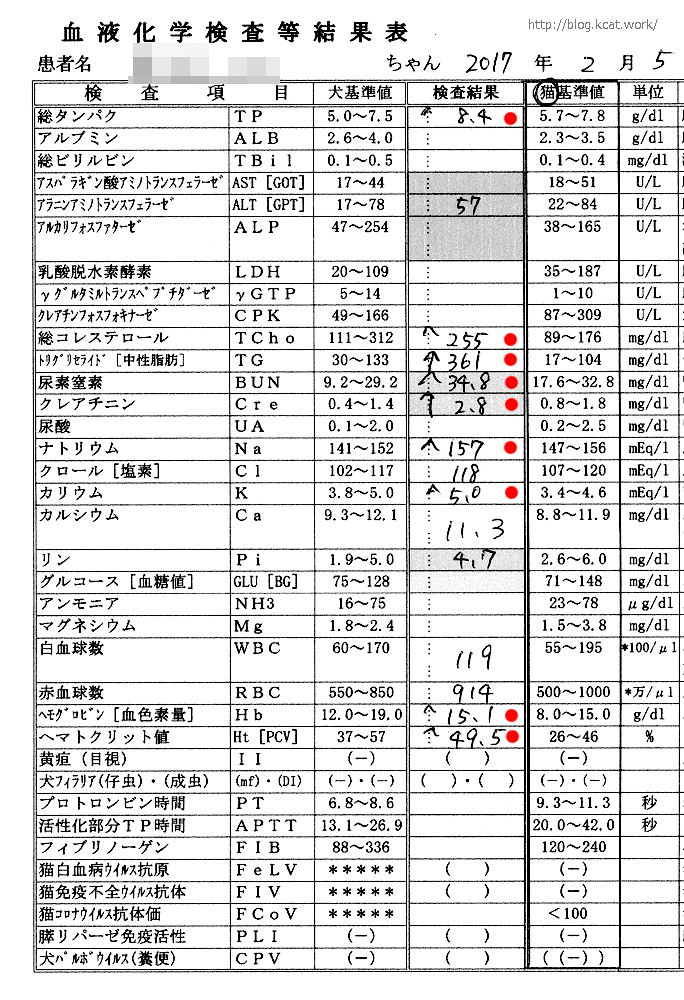 シロの血液検査結果 2017/2/5
