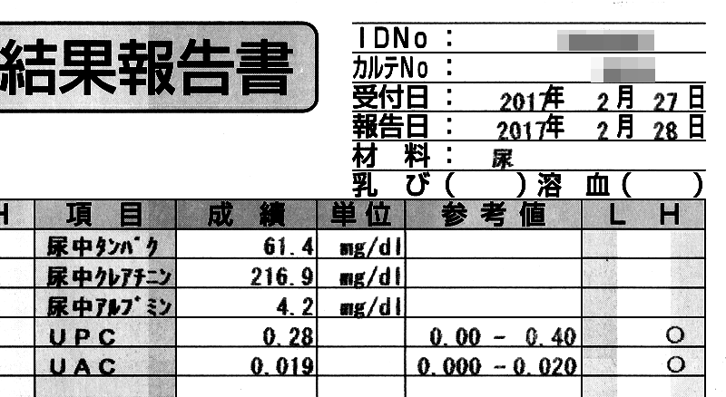 フク尿検査2017/2/27