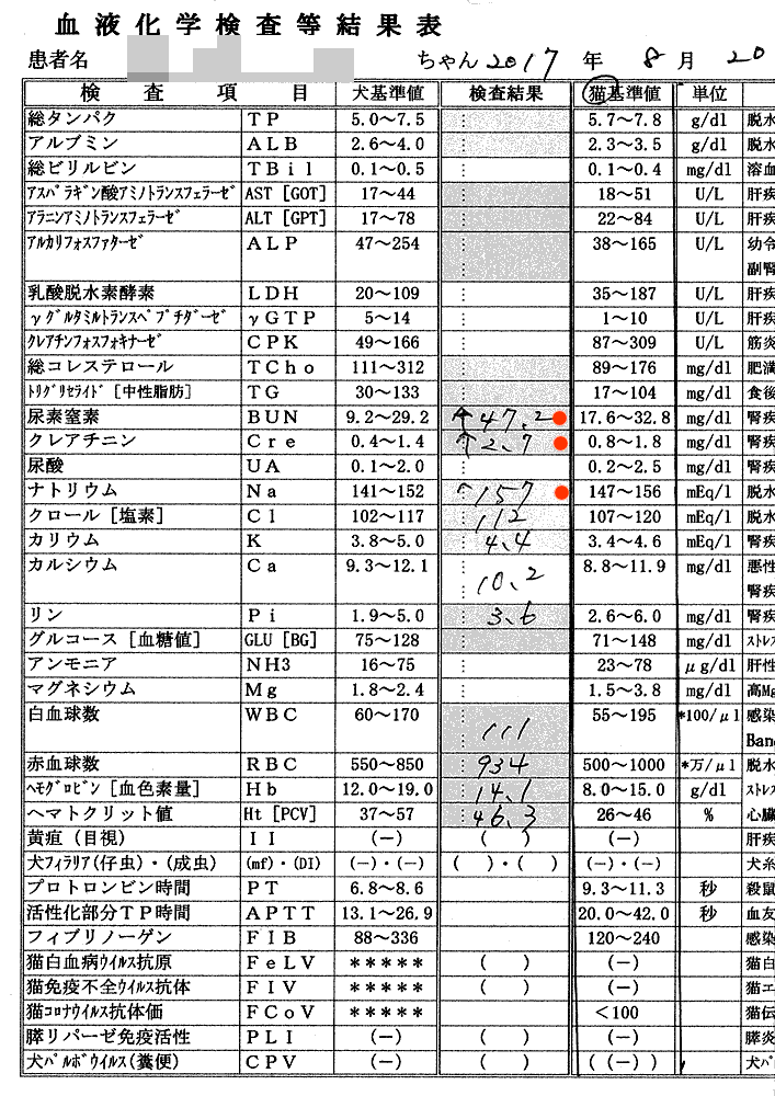 2017/8/20クロ血液検査結果