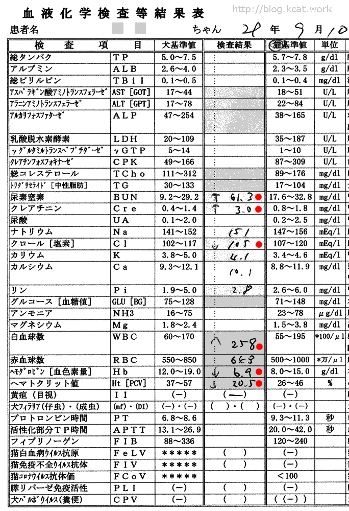 2017/9/10フク血液検査結果