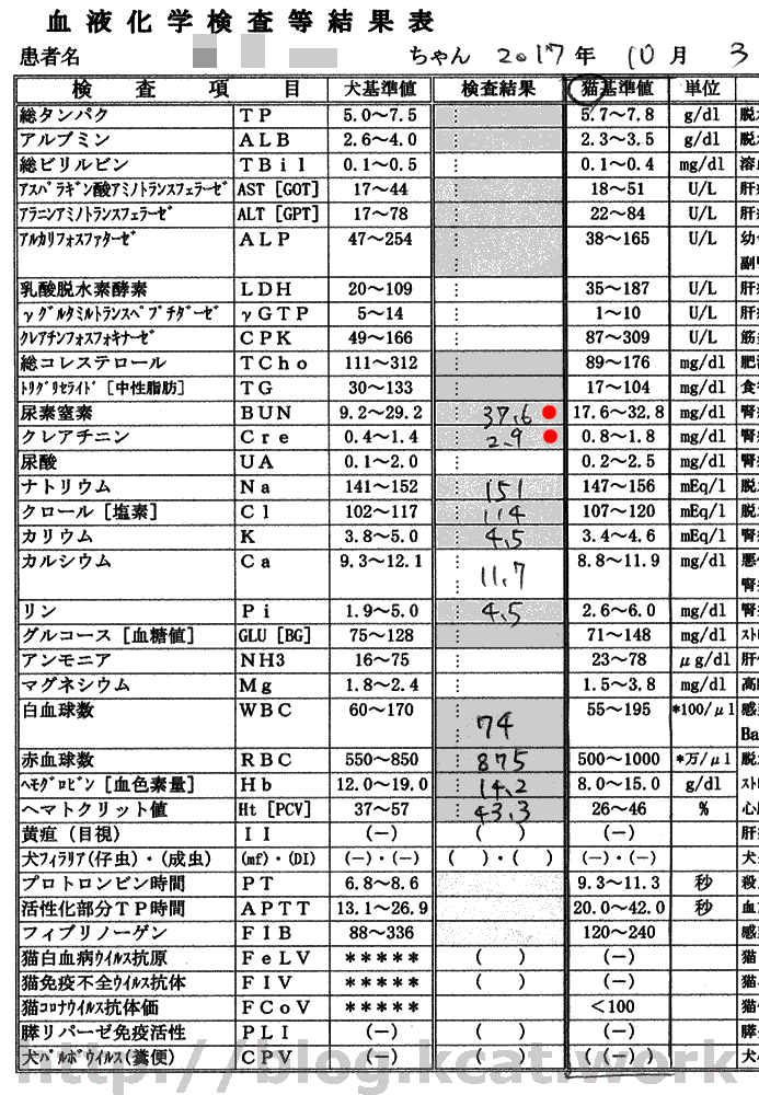 2017/10/3クロ血液検査結果