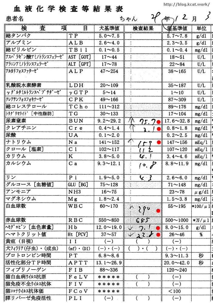 2017/12/3 フク血液検査結果