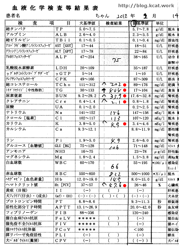 シロの血液検査結果2018/2/14