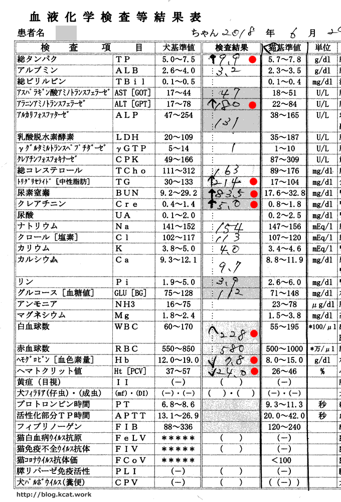 フクの血液検査結果2018/6/29