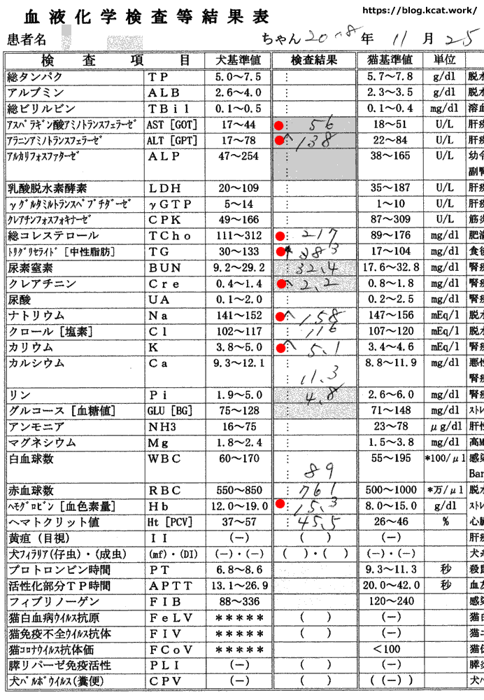 シロの血液検査結果 2018/11/25