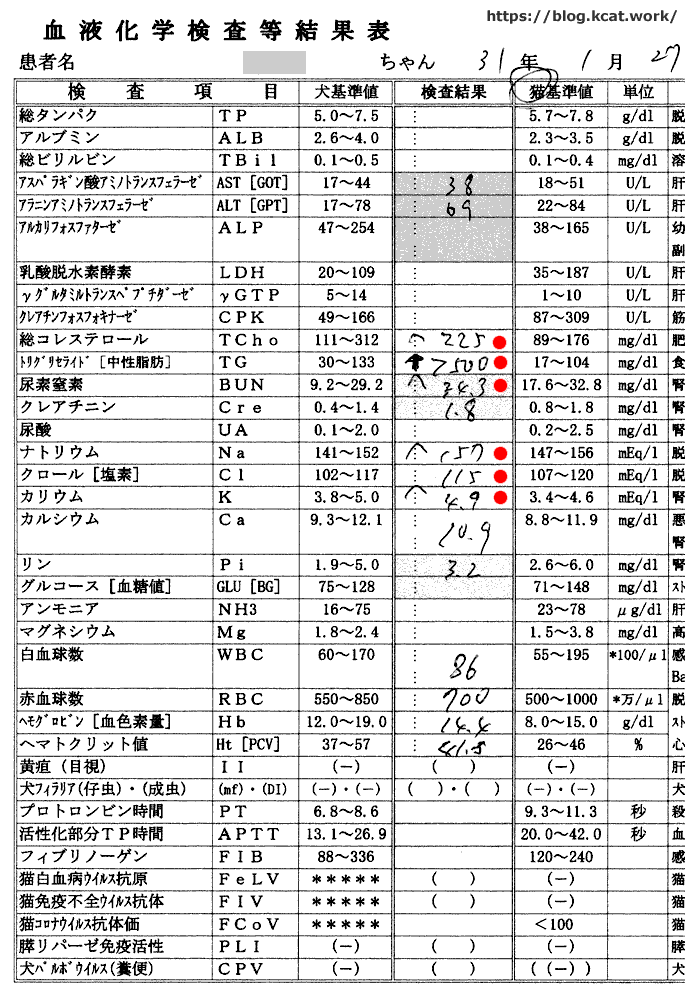 シロの血液検査結果 2018/12/28