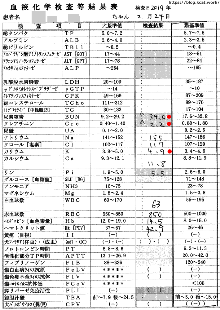 クロの血液検査結果 2019/2/24