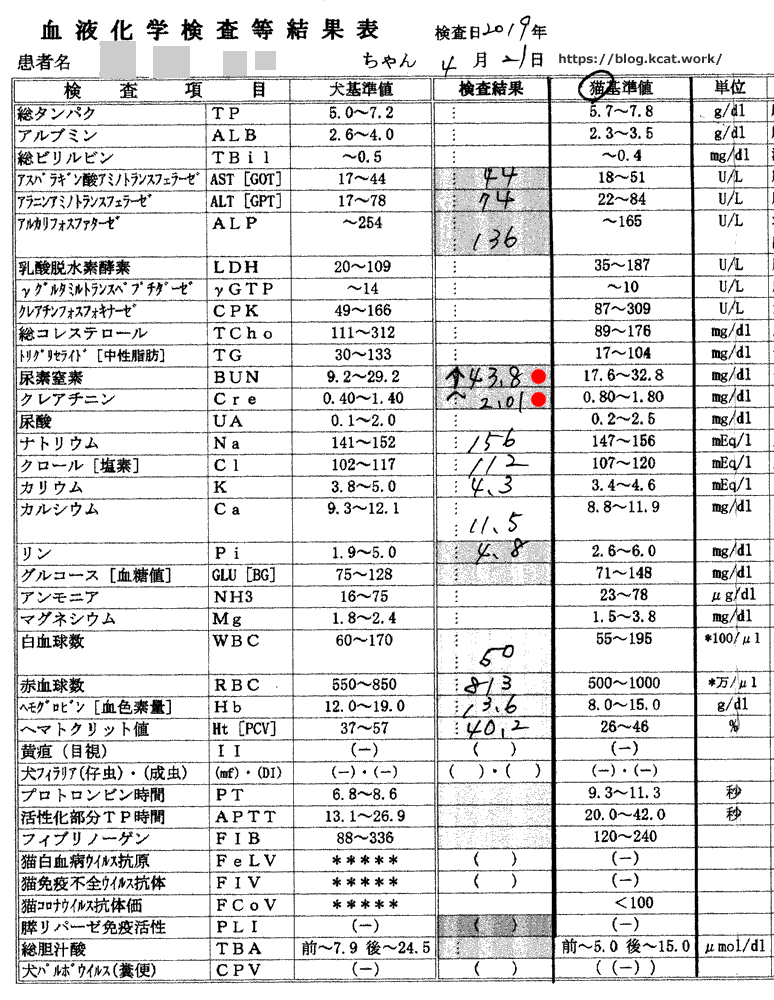 クロ 血液検査　2019/4/21