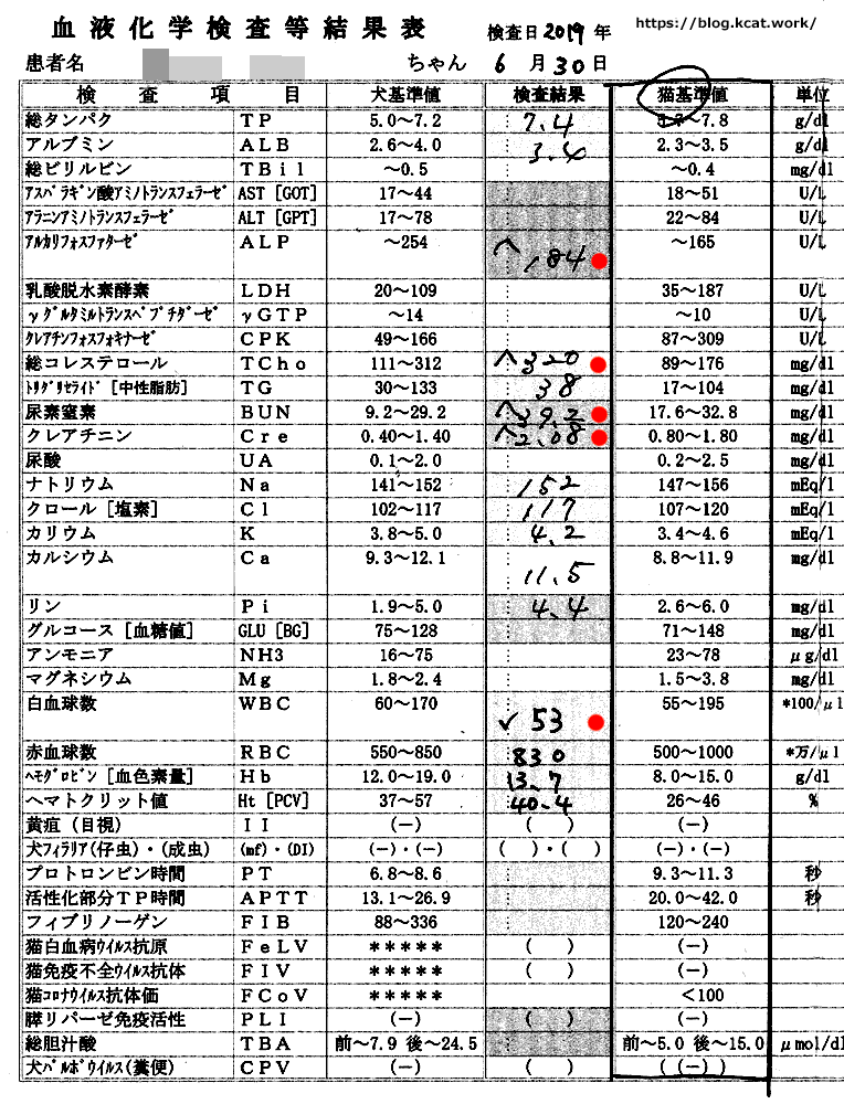 クロの血液検査結果 2019/6/30