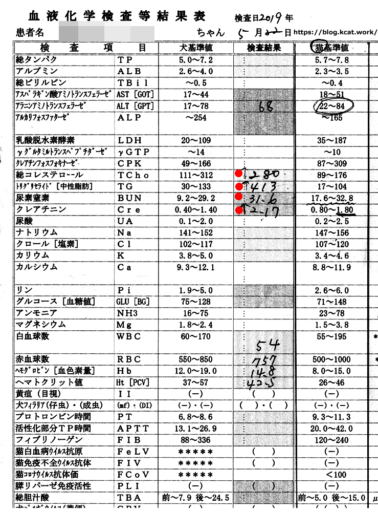 シロの血液検査結果 2019/5/22