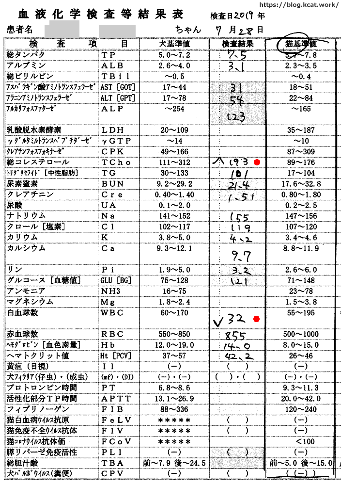 チョビの血液検査結果 2019/7/28