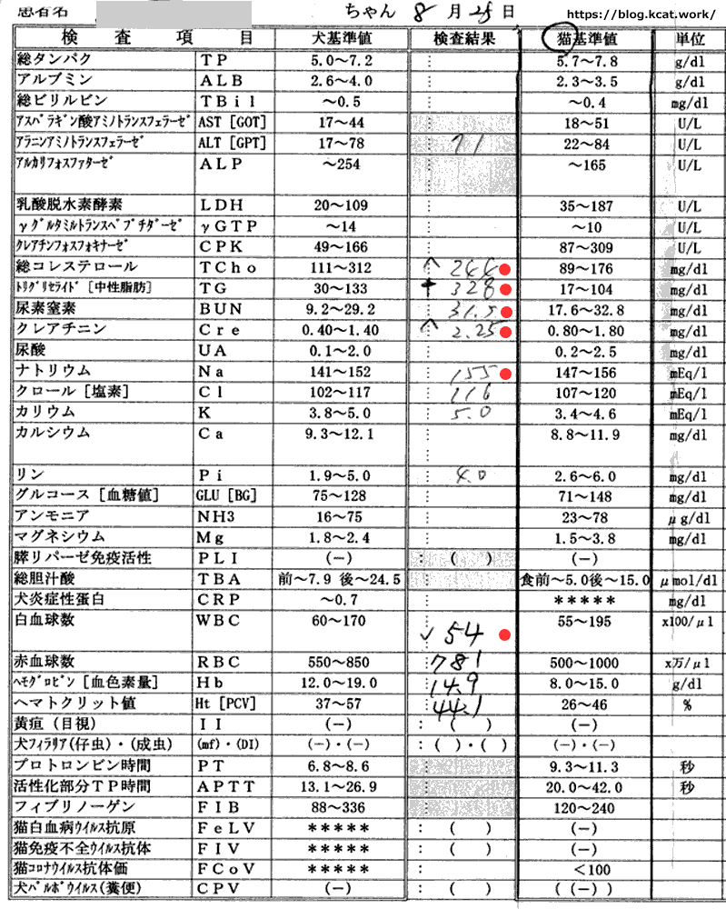 シロの血液検査結果 2019/8/25