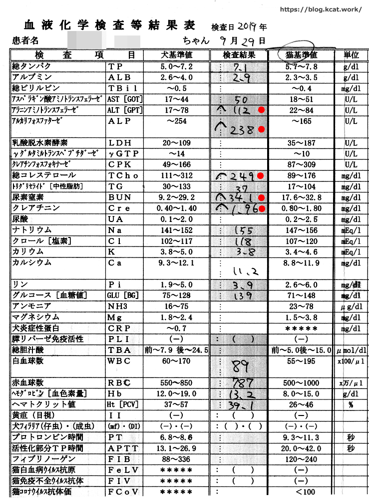 クロの血液検査結果 2019/9/29