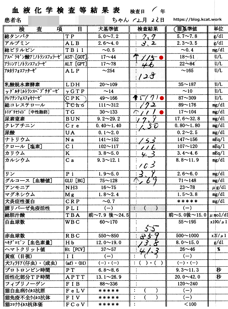チョビの血液検査結果 2019/12/22