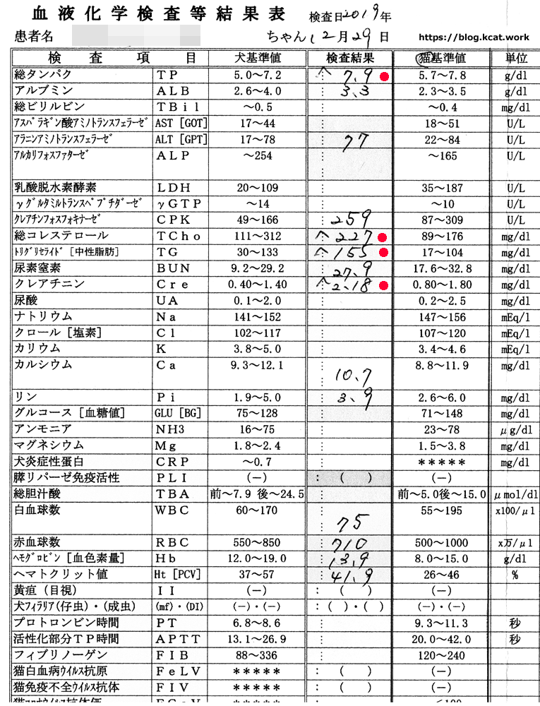 シロの血液検査結果 2019/12/29