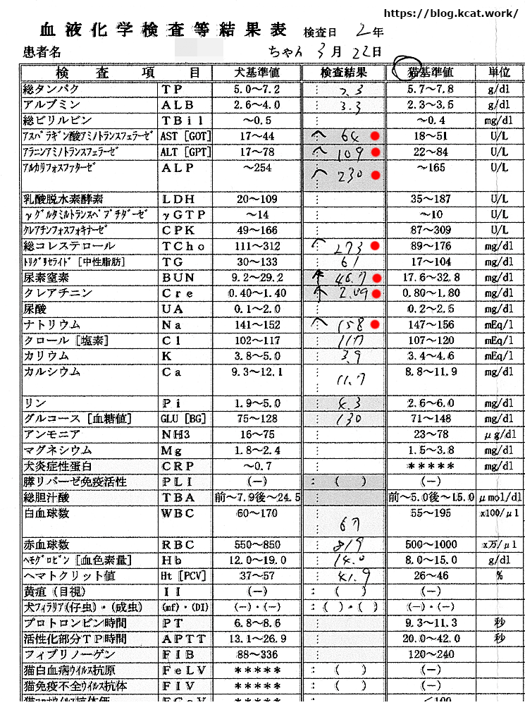 クロの血液検査結果 2020/3/22