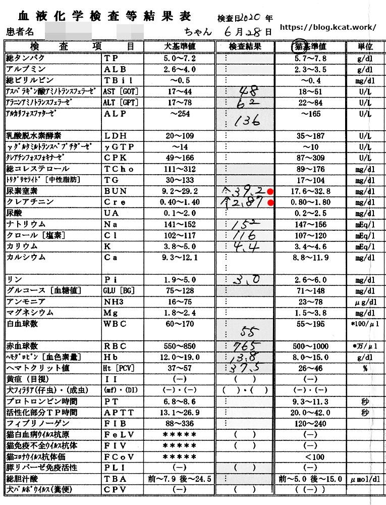クロの血液検査結果 2020/6/28