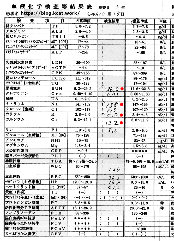 シロの血液検査結果 2020/10/25