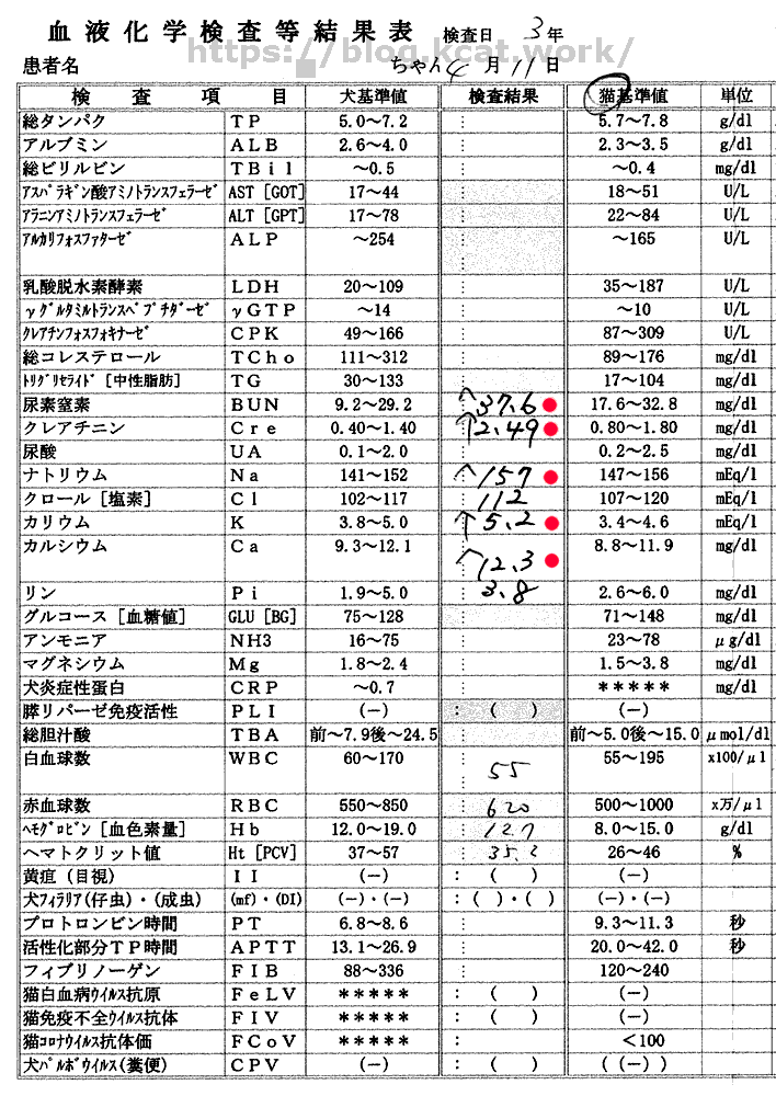 シロの血液検査結果 2021/4/11