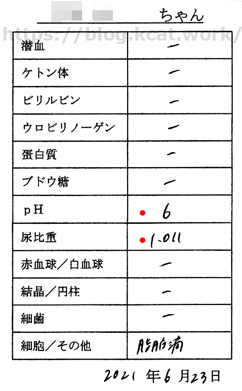 クロの尿検査結果 2021/6/23