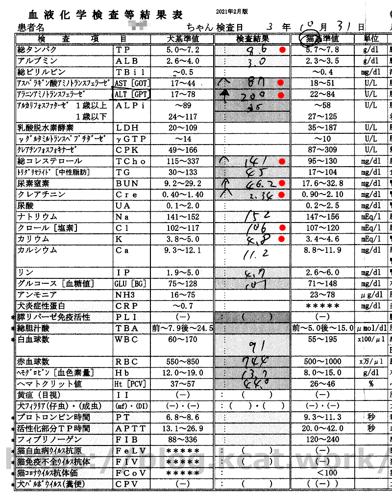 シロの血液検査2021/10/31